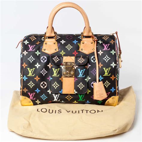 lv mini speedy multicolor|louis vuitton speedy 30 women.